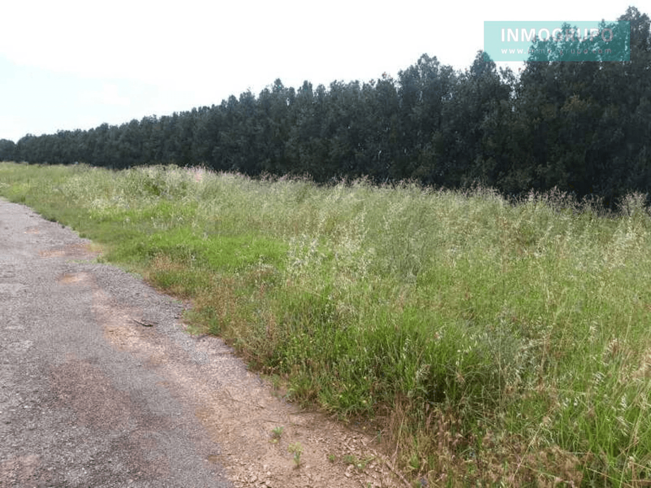 Venta de Suelos Urbanizables Residenciales + Fincas Rústic
