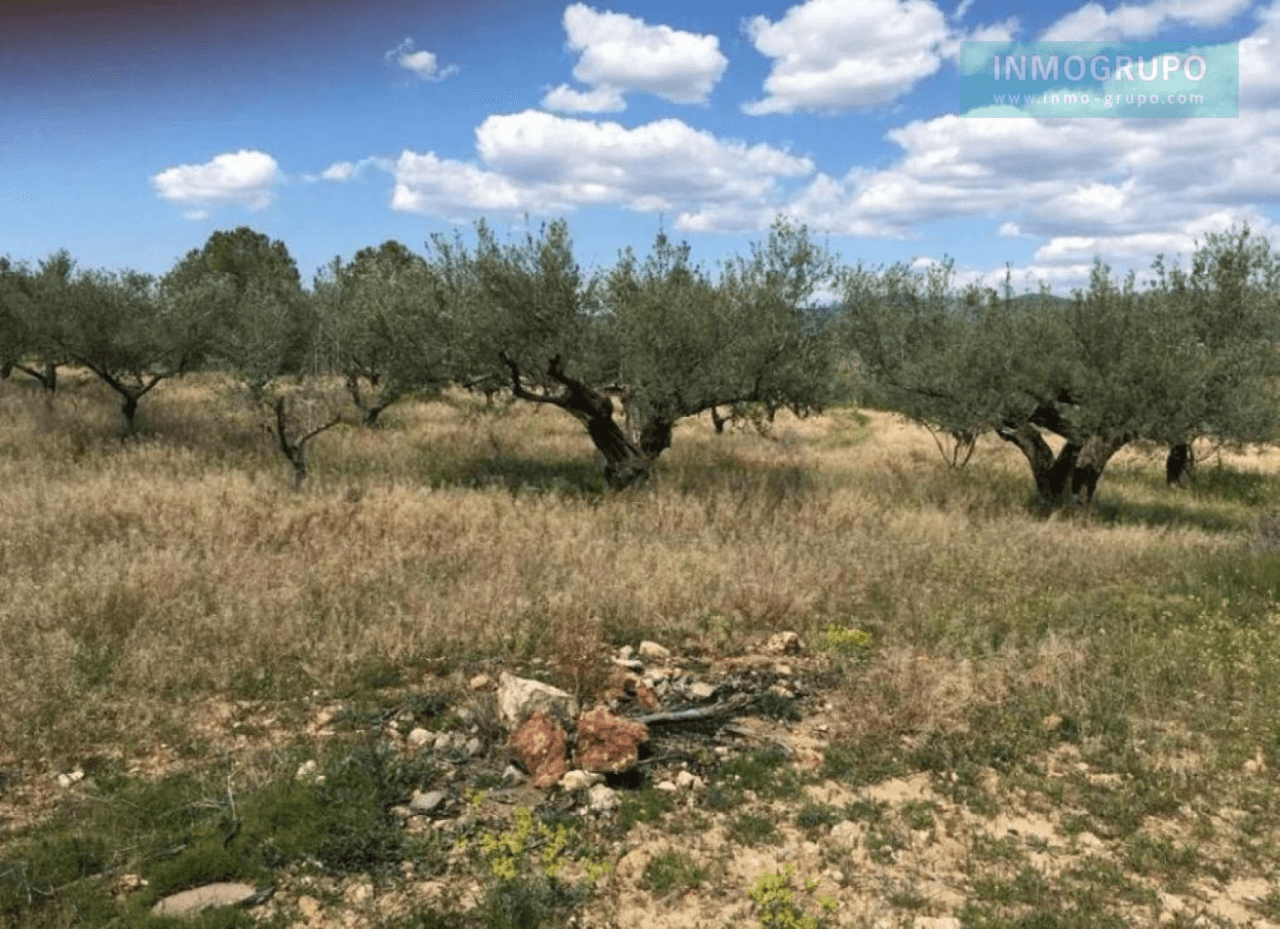 Parcela Rustica en venta