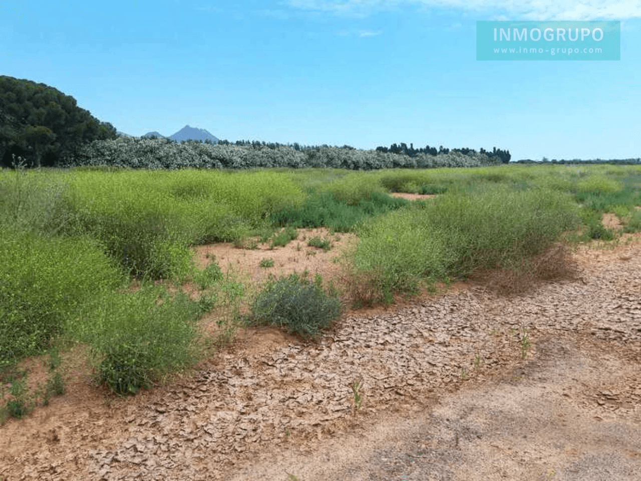 Venta de Suelos Urbanizables Residenciales + Fincas Rústic