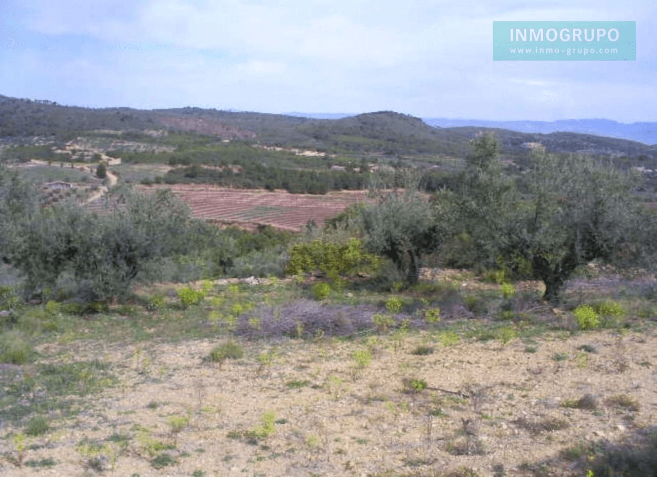 Parcela Rustica en venta