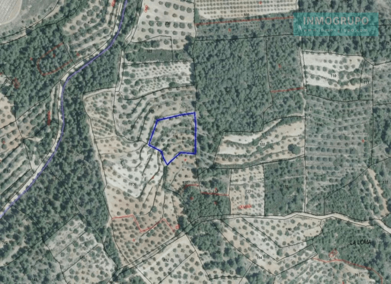 Parcela Rustica en venta