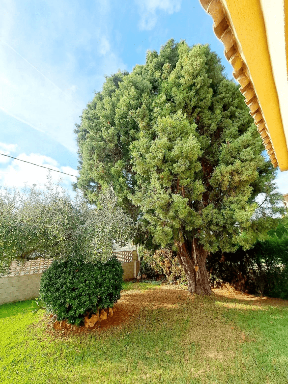 Villa individual con piscina en Zona Gran Avenida