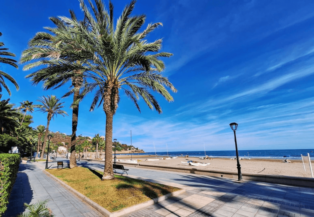 APARTAMENTO PRIMERA LINEA DE PLAYA EN VORAMAR